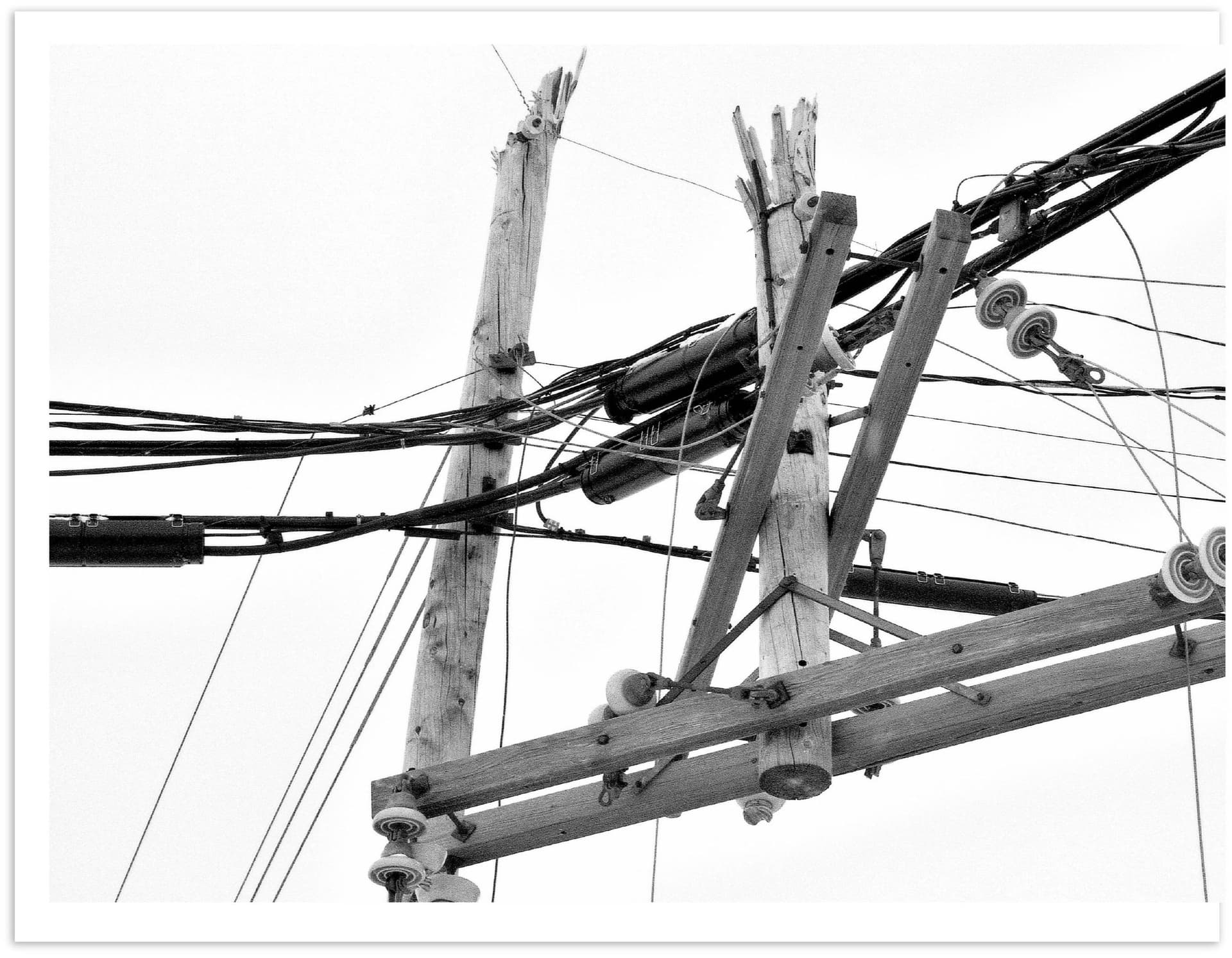 Rhizome Grid Resilience