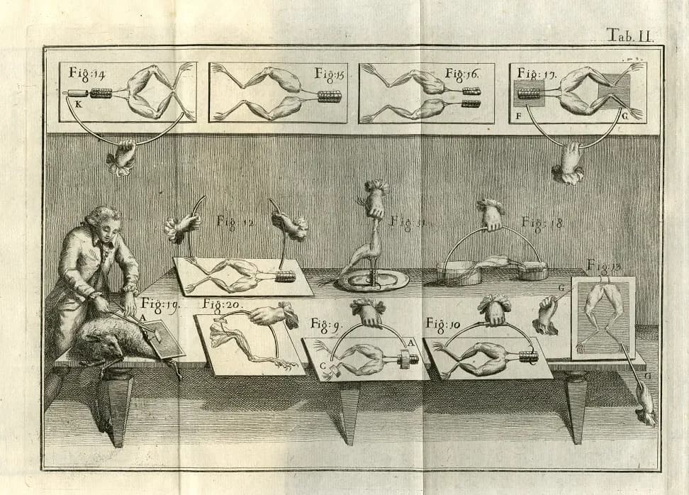 Engraved plate labelled Tab. II showing a seated scientist dissecting an animal at a table, surrounded by numbered diagrams of frog legs wired to electrical apparatus.
